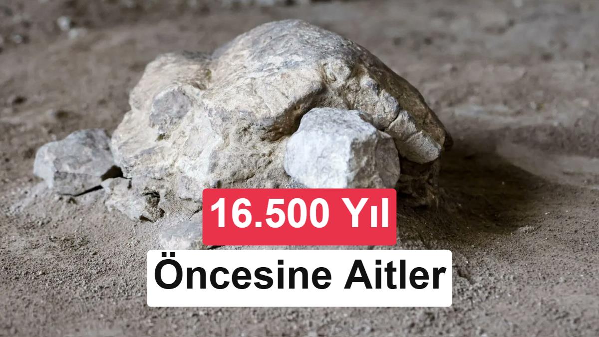 Bilecik’te 16.500 yıl öncesine ait kaplumbağa heykelleri bulundu